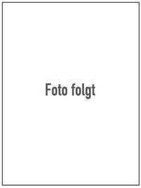 Dietmar Hiss
